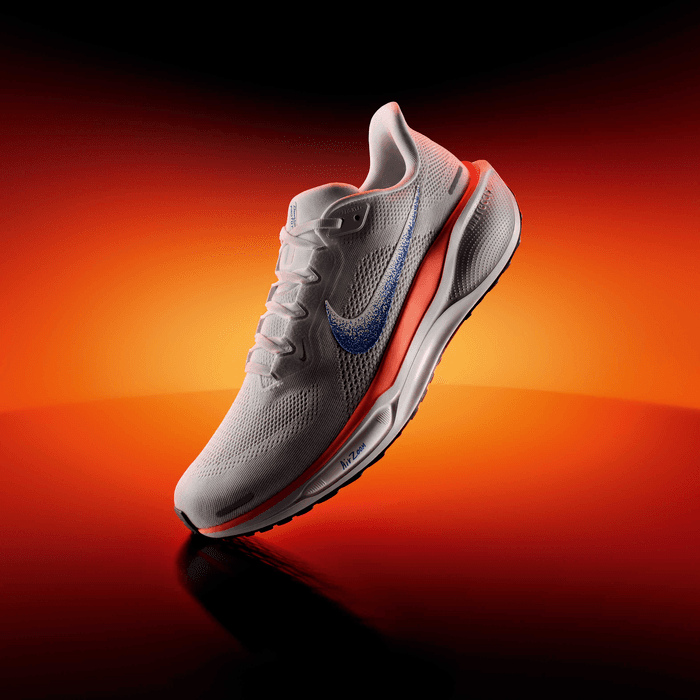 Nike Pegasus 41 Azul